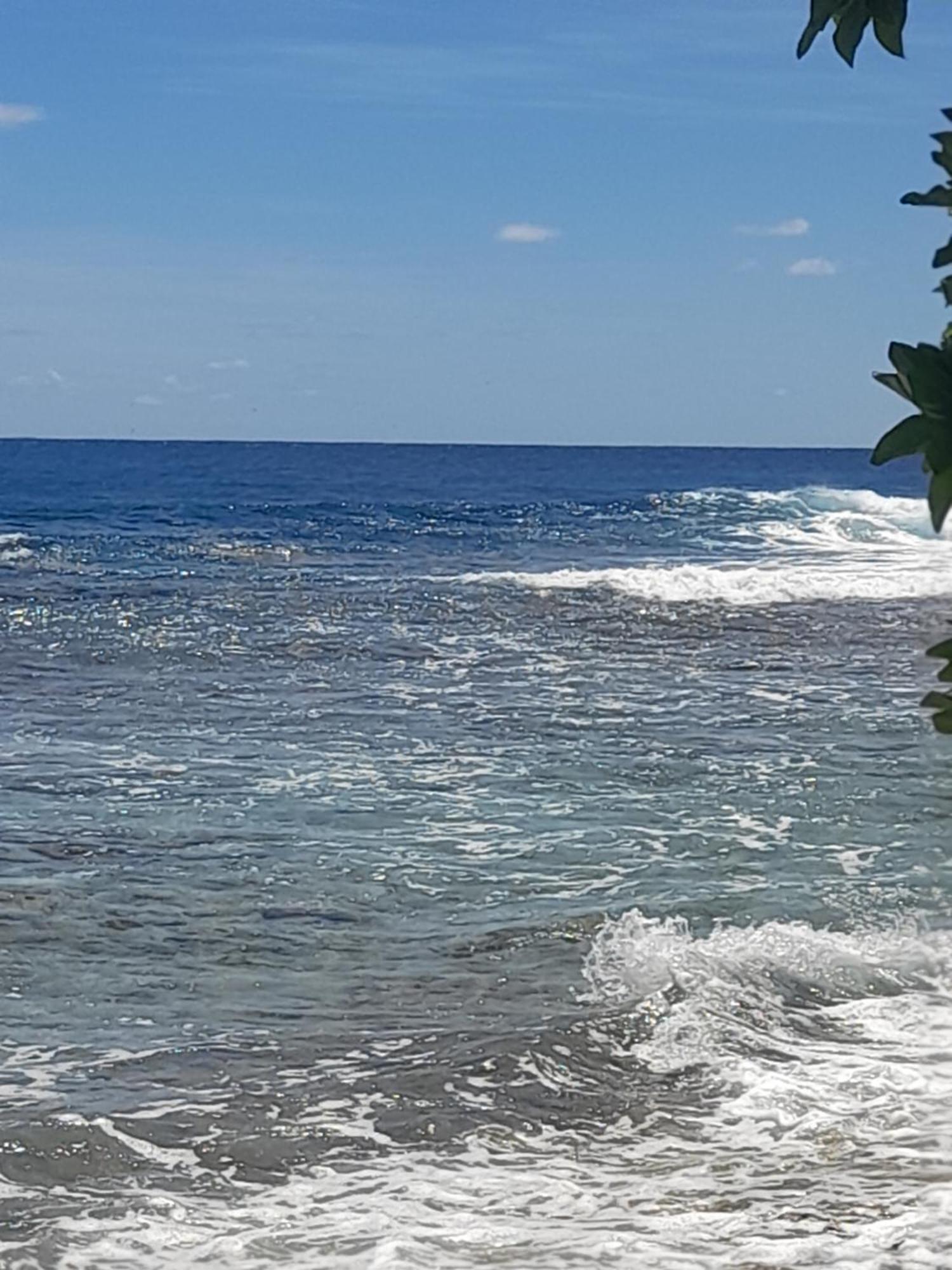 Bungalow Spot De Surf Avatoru ภายนอก รูปภาพ